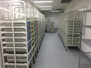 hospital-redevelopment-shelving-storage